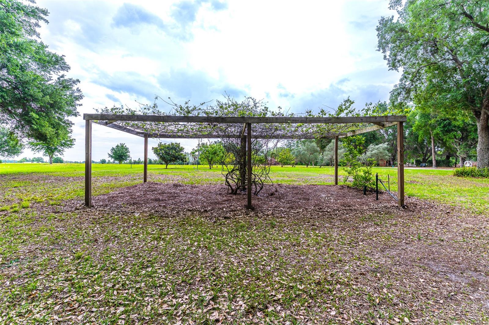 6850 HUNT RD, GROVELAND, FL, 34736
