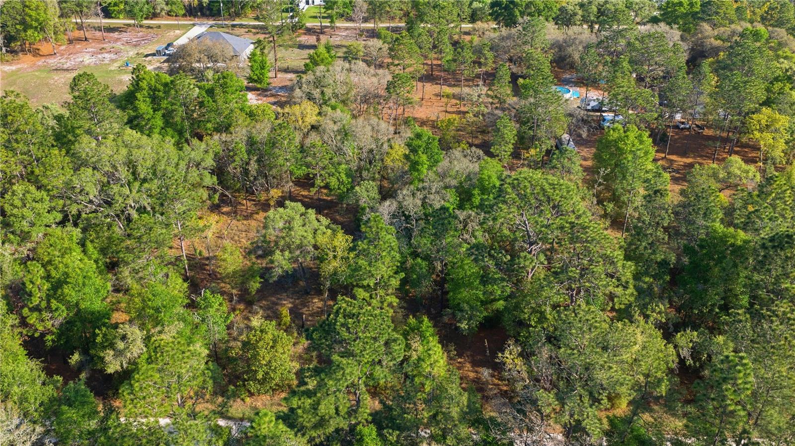 12701 SW 96TH LN, DUNNELLON, FL, 34432