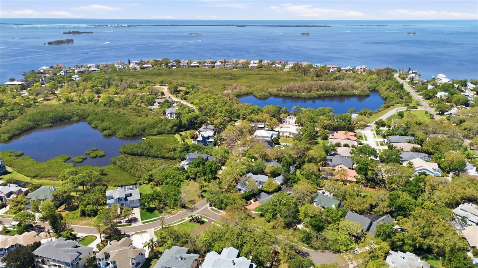 1718 SANCTUARY PL, CRYSTAL BEACH, FL, 34681