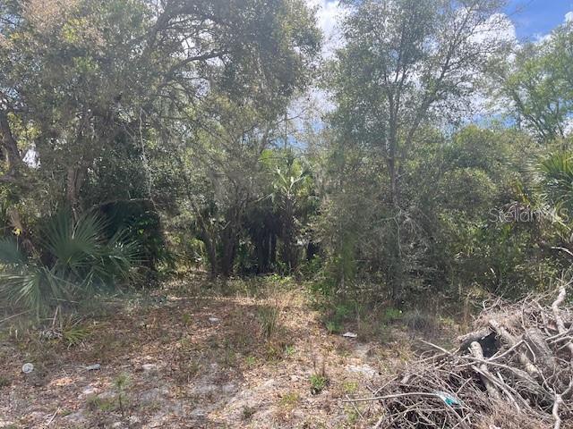 SCOTTISH TER, NORTH PORT, FL, 34288
