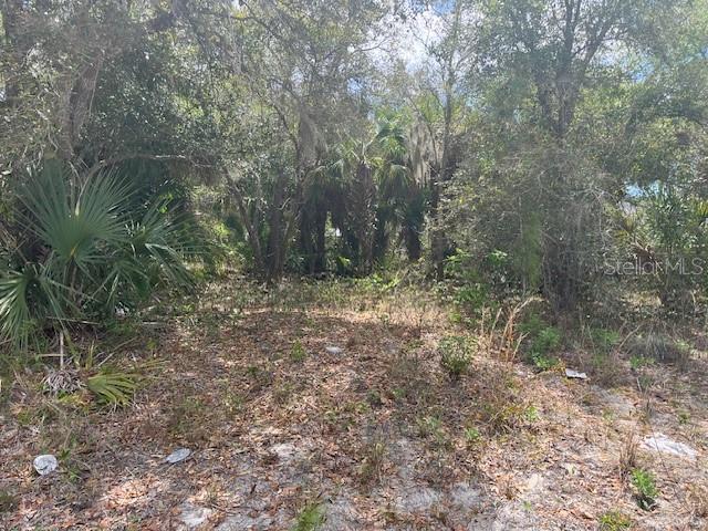SCOTTISH TER, NORTH PORT, FL, 34288