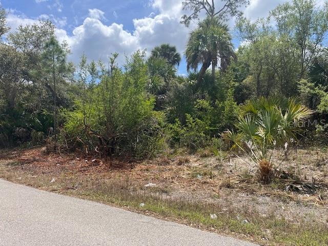 SCOTTISH TER, NORTH PORT, FL, 34288