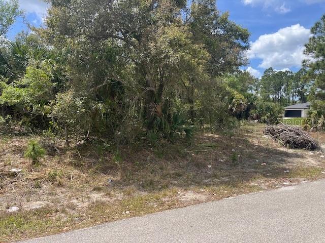 SCOTTISH TER, NORTH PORT, FL, 34288