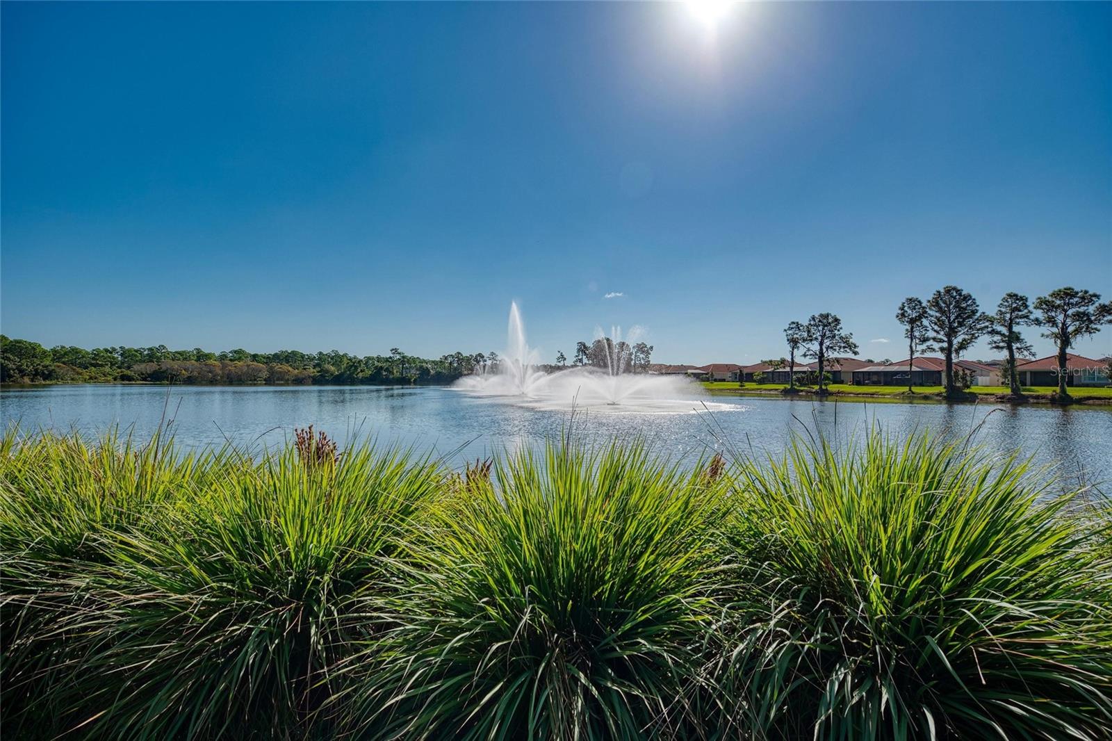 11626 PARROTFISH ST, VENICE, FL, 34292