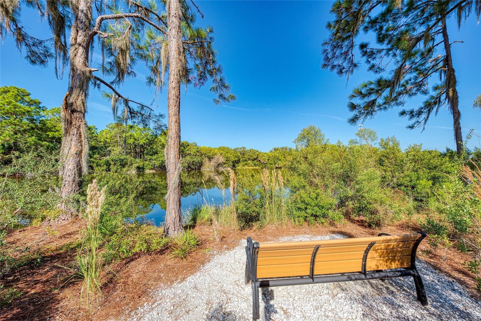 11626 PARROTFISH ST, VENICE, FL, 34292