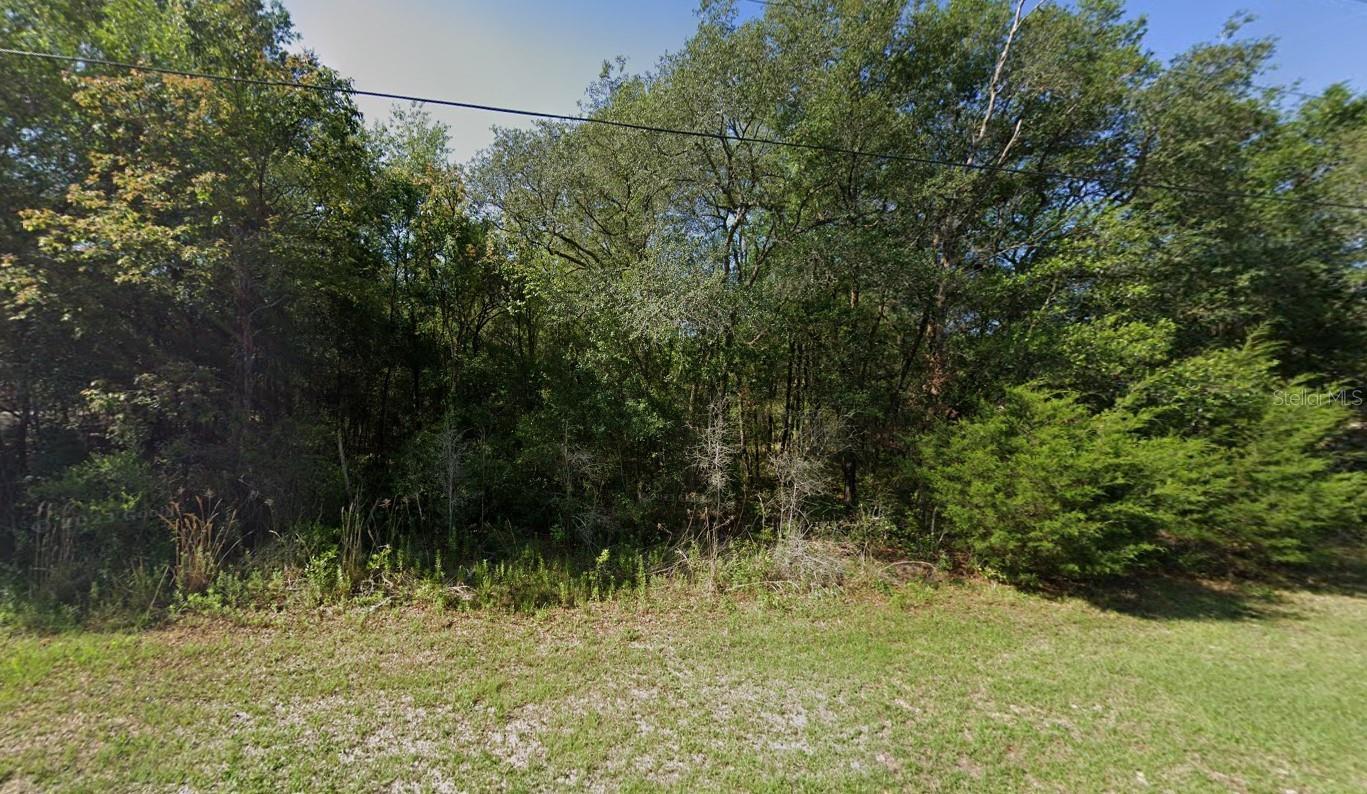 658 E LA SALLE ST, HERNANDO, FL, 34442