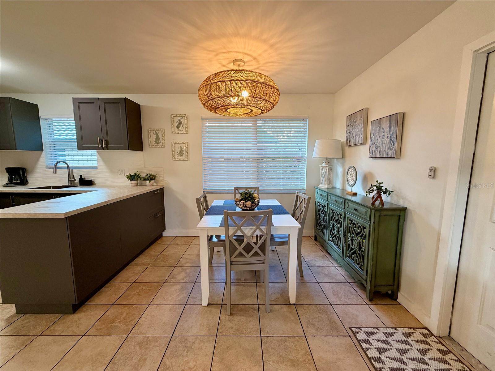 14010 NE 250TH CIR, SALT SPRINGS, FL, 32134