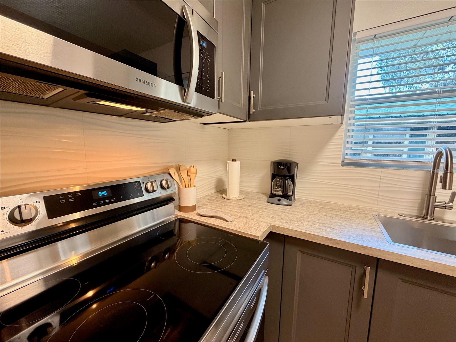 14010 NE 250TH CIR, SALT SPRINGS, FL, 32134