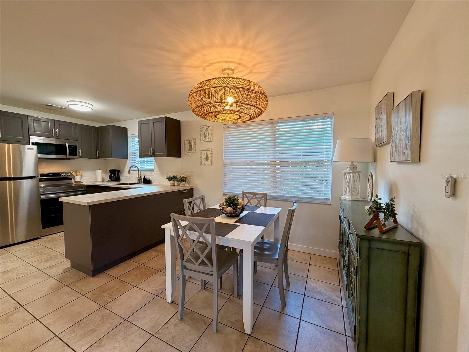 14010 NE 250TH CIR, SALT SPRINGS, FL, 32134