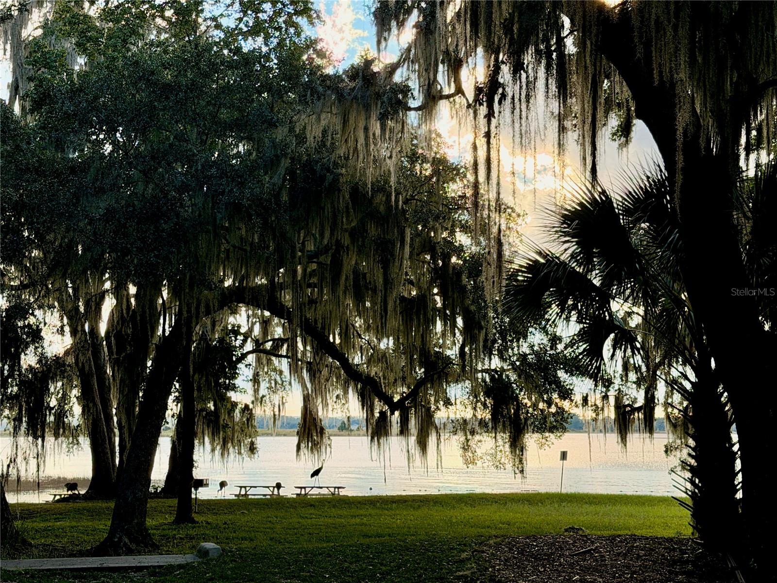 14010 NE 250TH CIR, SALT SPRINGS, FL, 32134