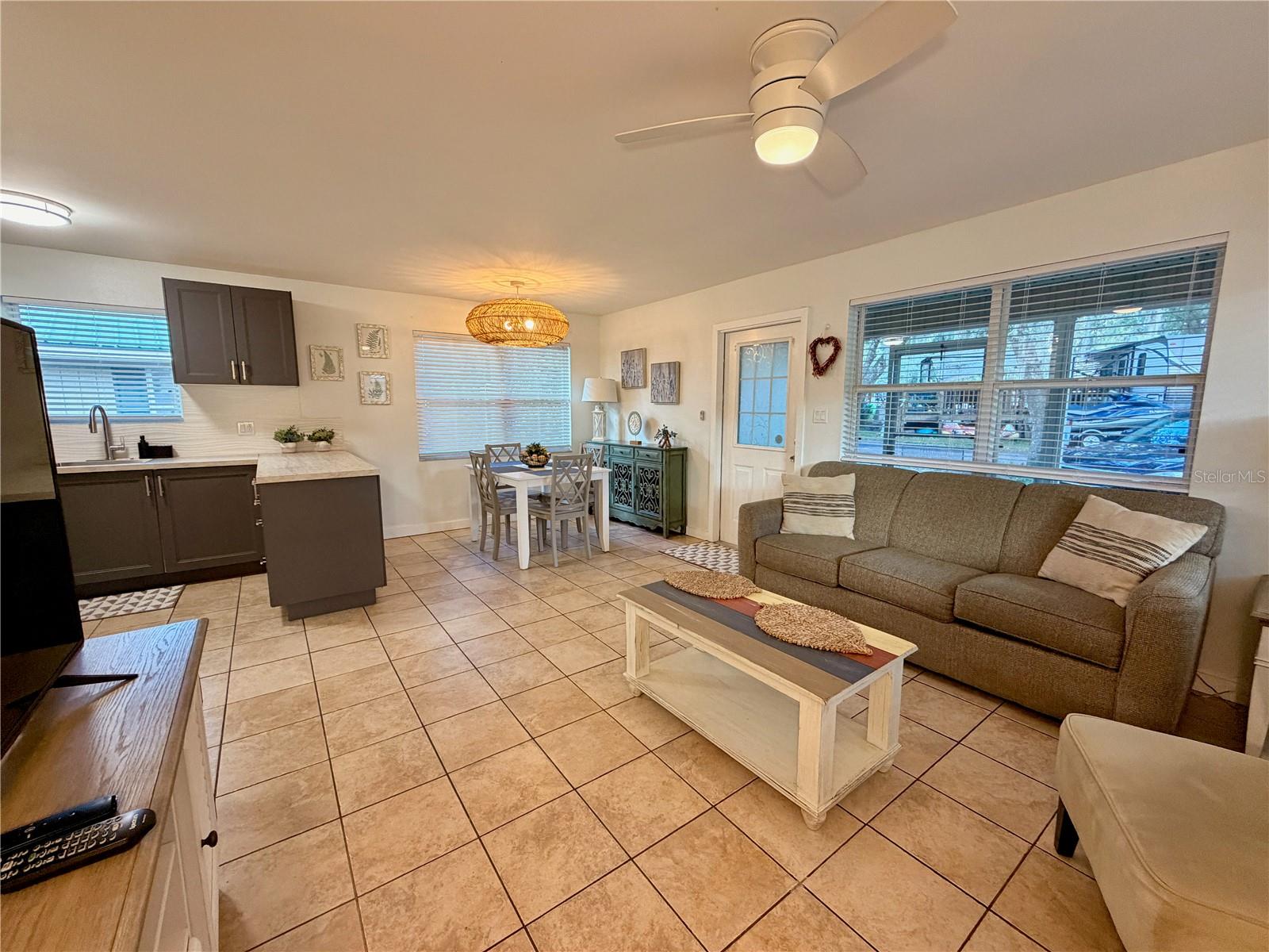 14010 NE 250TH CIR, SALT SPRINGS, FL, 32134