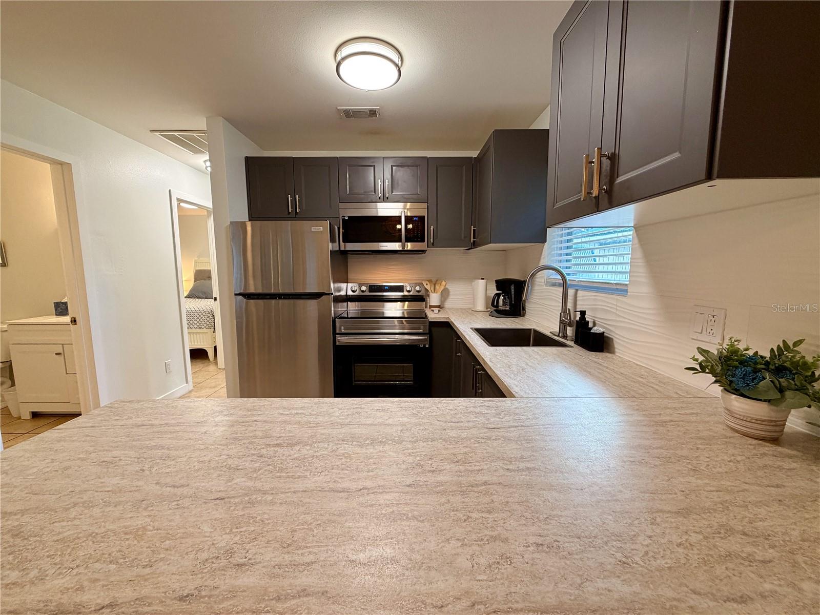 14010 NE 250TH CIR, SALT SPRINGS, FL, 32134