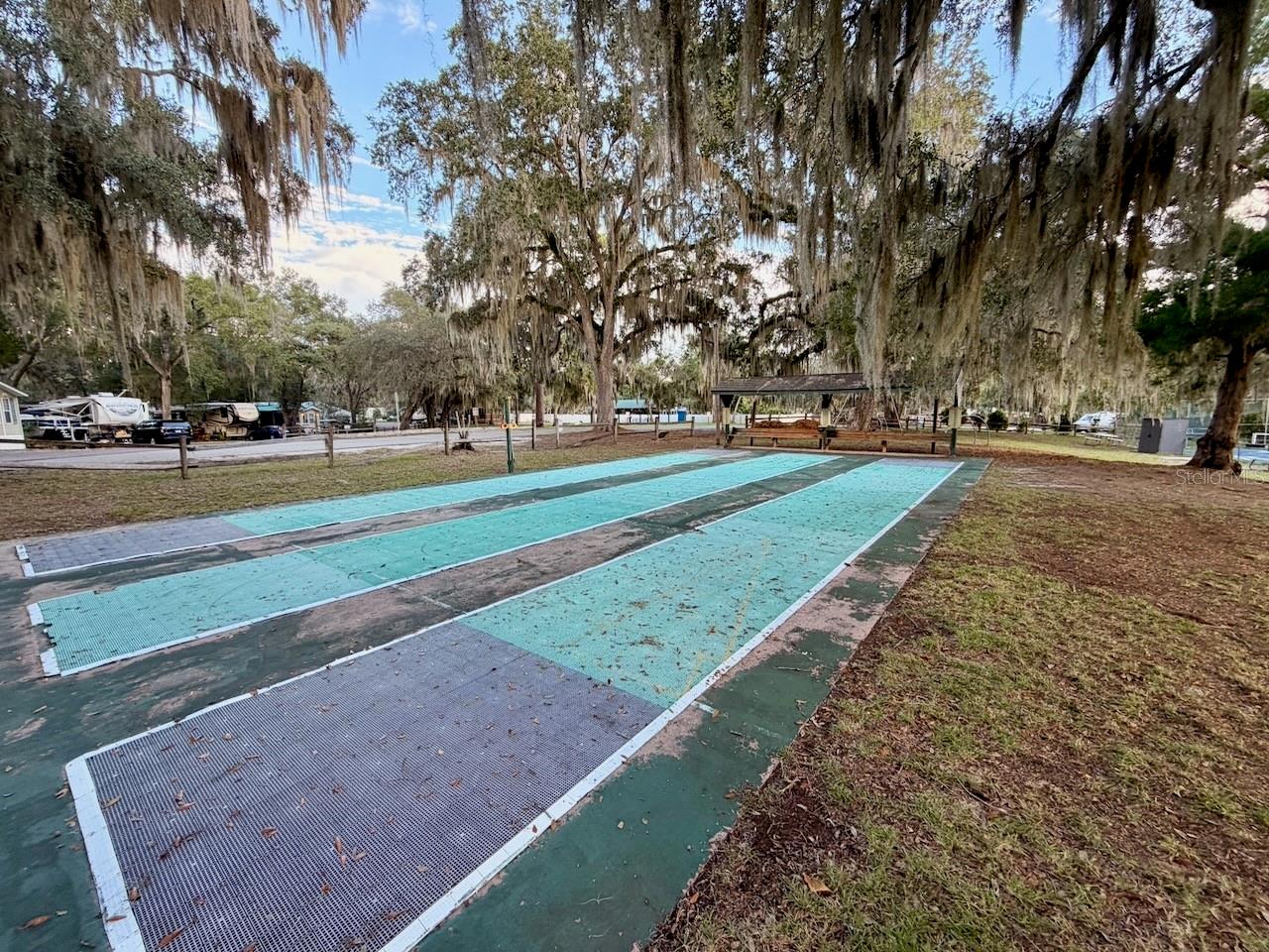 14010 NE 250TH CIR, SALT SPRINGS, FL, 32134