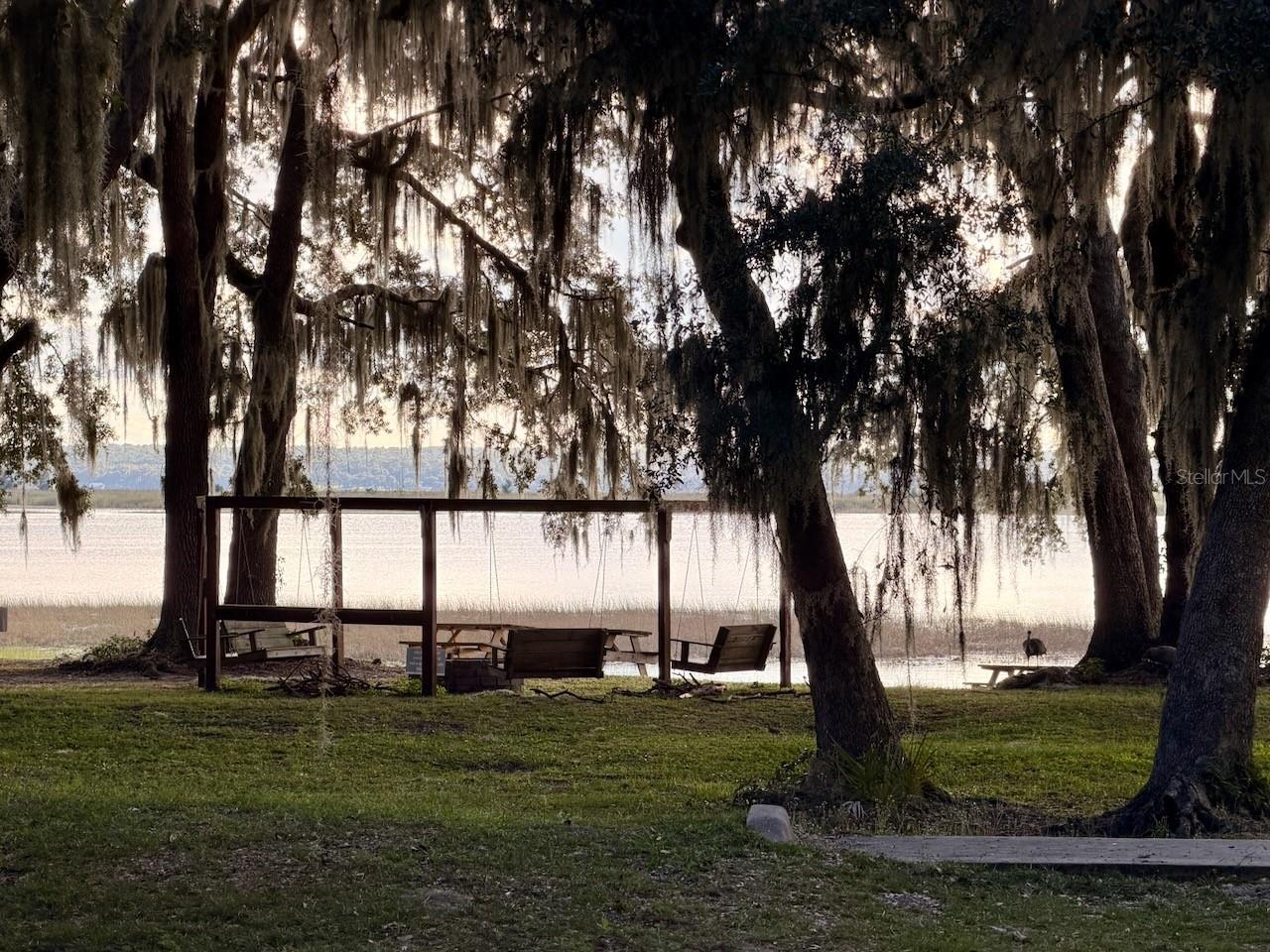 14010 NE 250TH CIR, SALT SPRINGS, FL, 32134