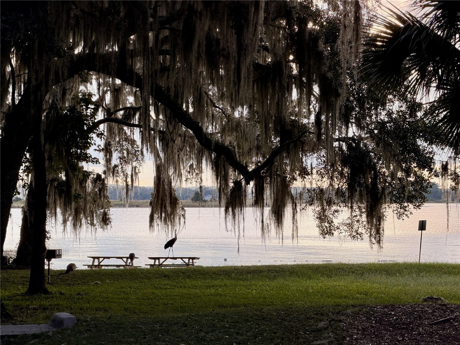 14010 NE 250TH CIR, SALT SPRINGS, FL, 32134