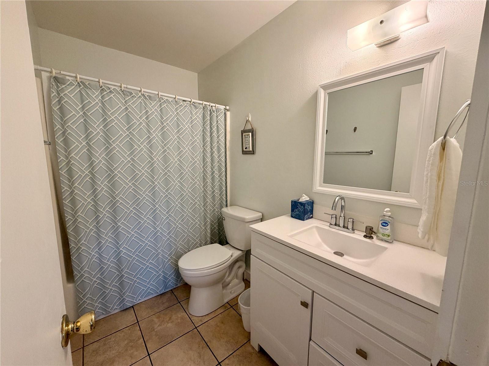 14010 NE 250TH CIR, SALT SPRINGS, FL, 32134
