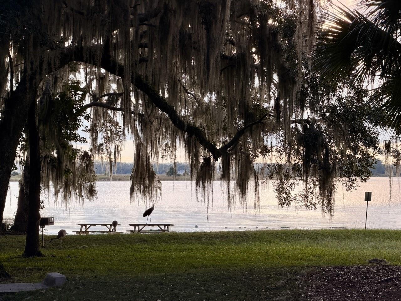 14010 NE 250TH CIR, SALT SPRINGS, FL, 32134