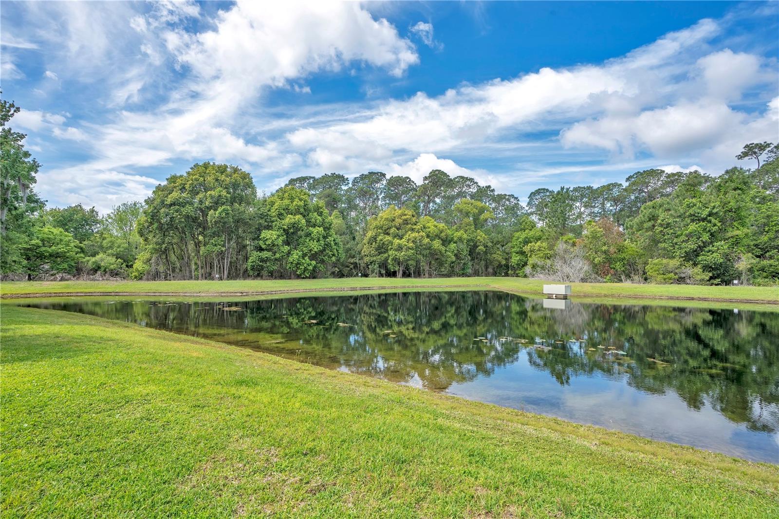 9149 PECKY CYPRESS WAY, ORLANDO, FL, 32836