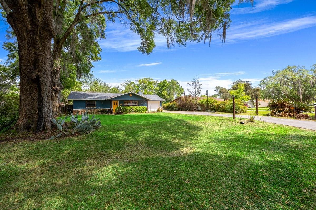 2043 NE 43RD ST, OCALA, FL, 34479