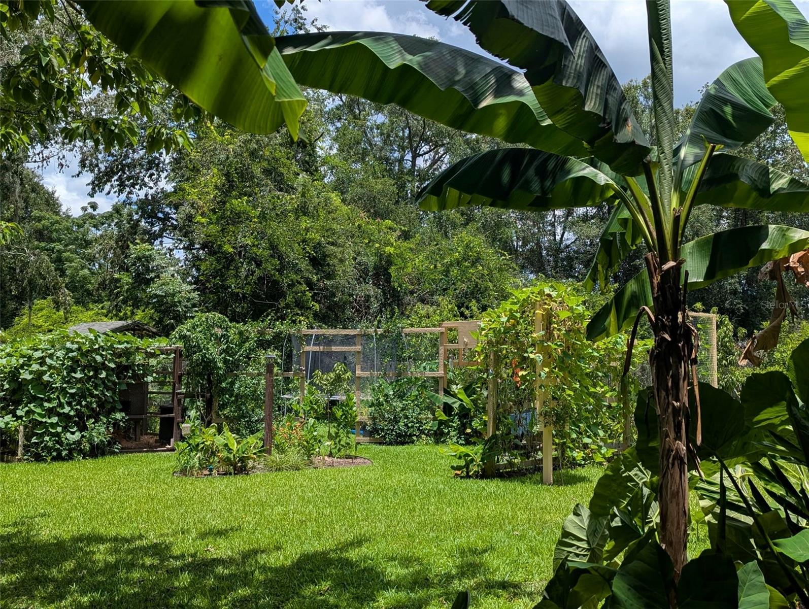 2043 NE 43RD ST, OCALA, FL, 34479