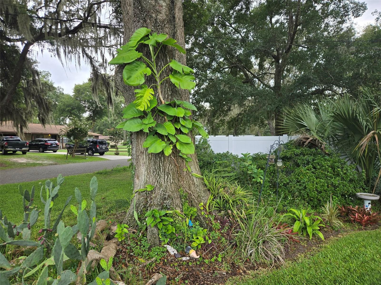 2043 NE 43RD ST, OCALA, FL, 34479