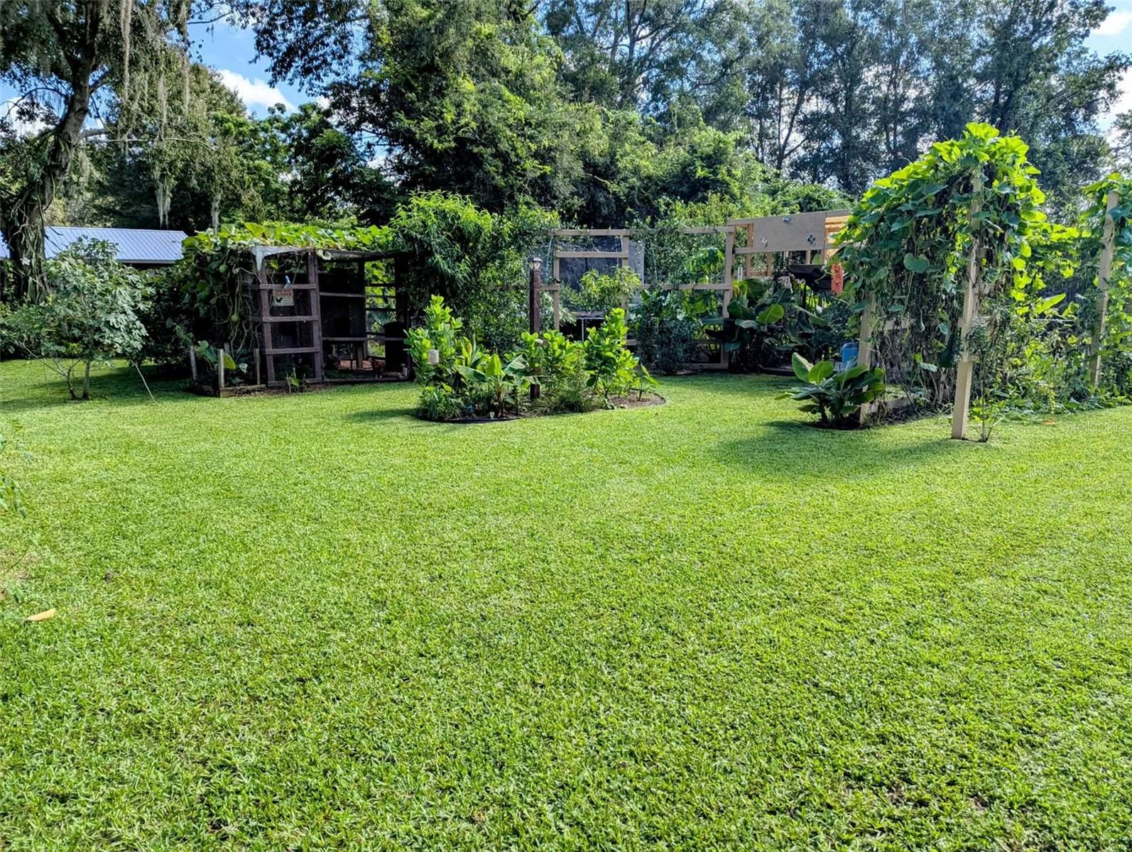 2043 NE 43RD ST, OCALA, FL, 34479