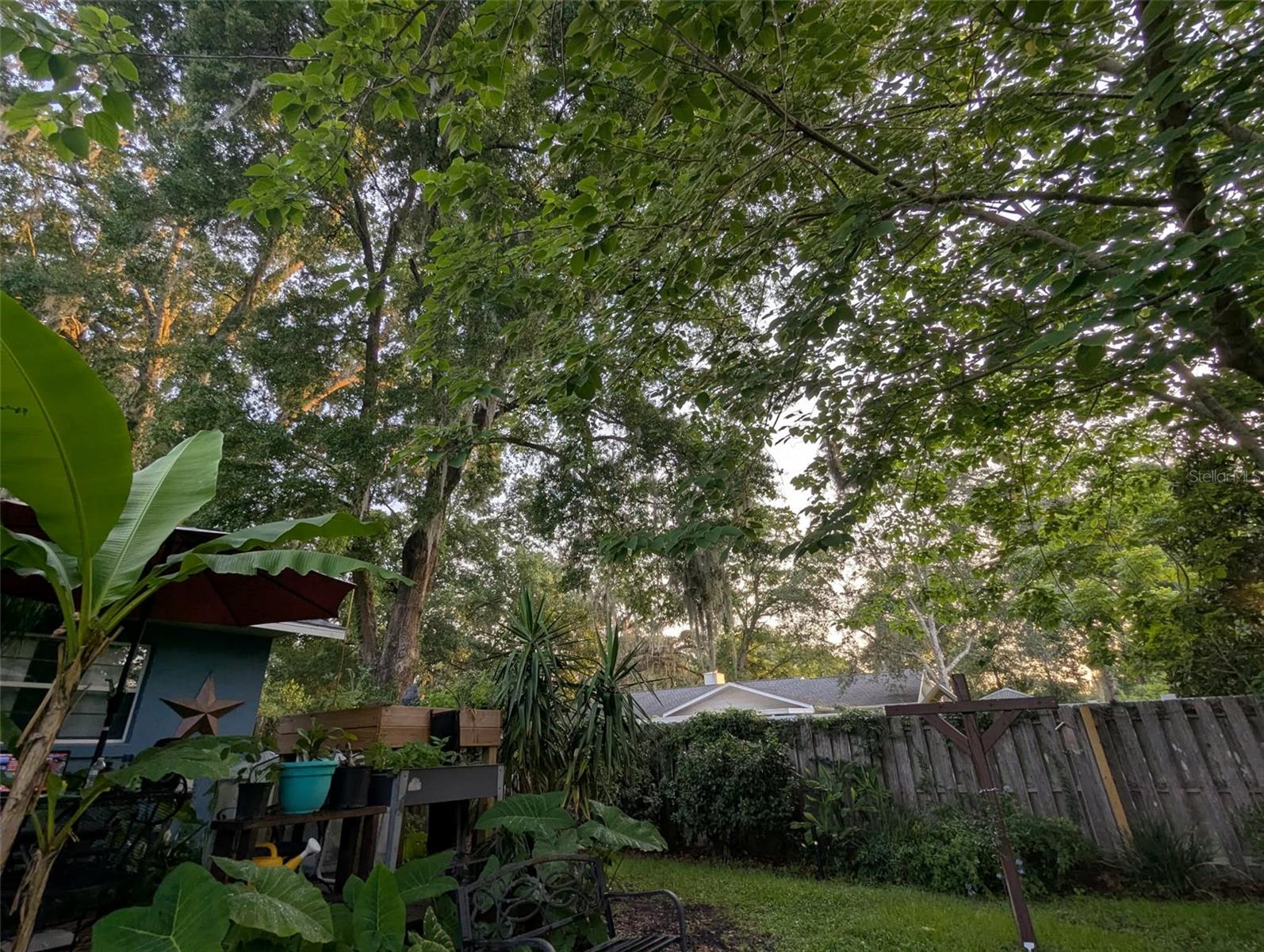 2043 NE 43RD ST, OCALA, FL, 34479