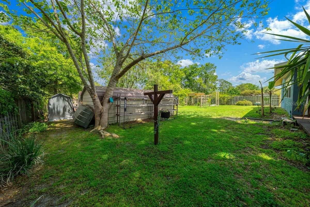 2043 NE 43RD ST, OCALA, FL, 34479