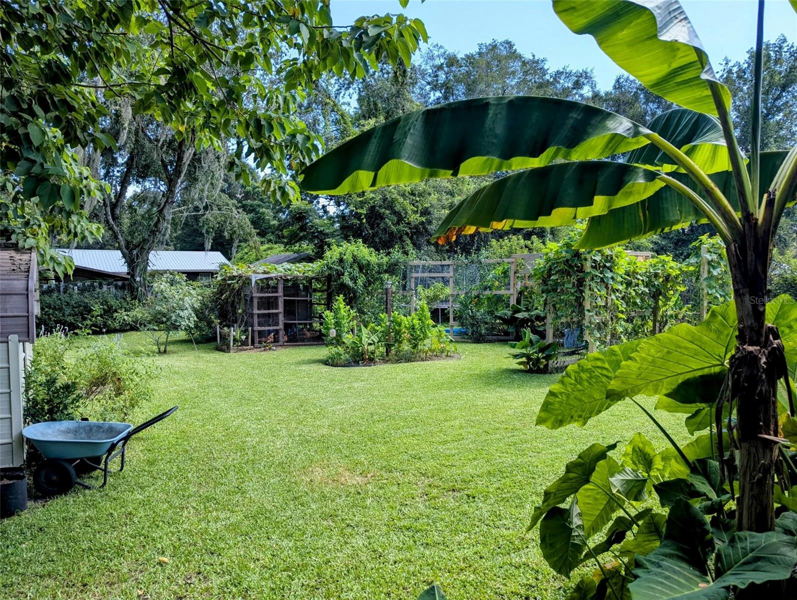 2043 NE 43RD ST, OCALA, FL, 34479