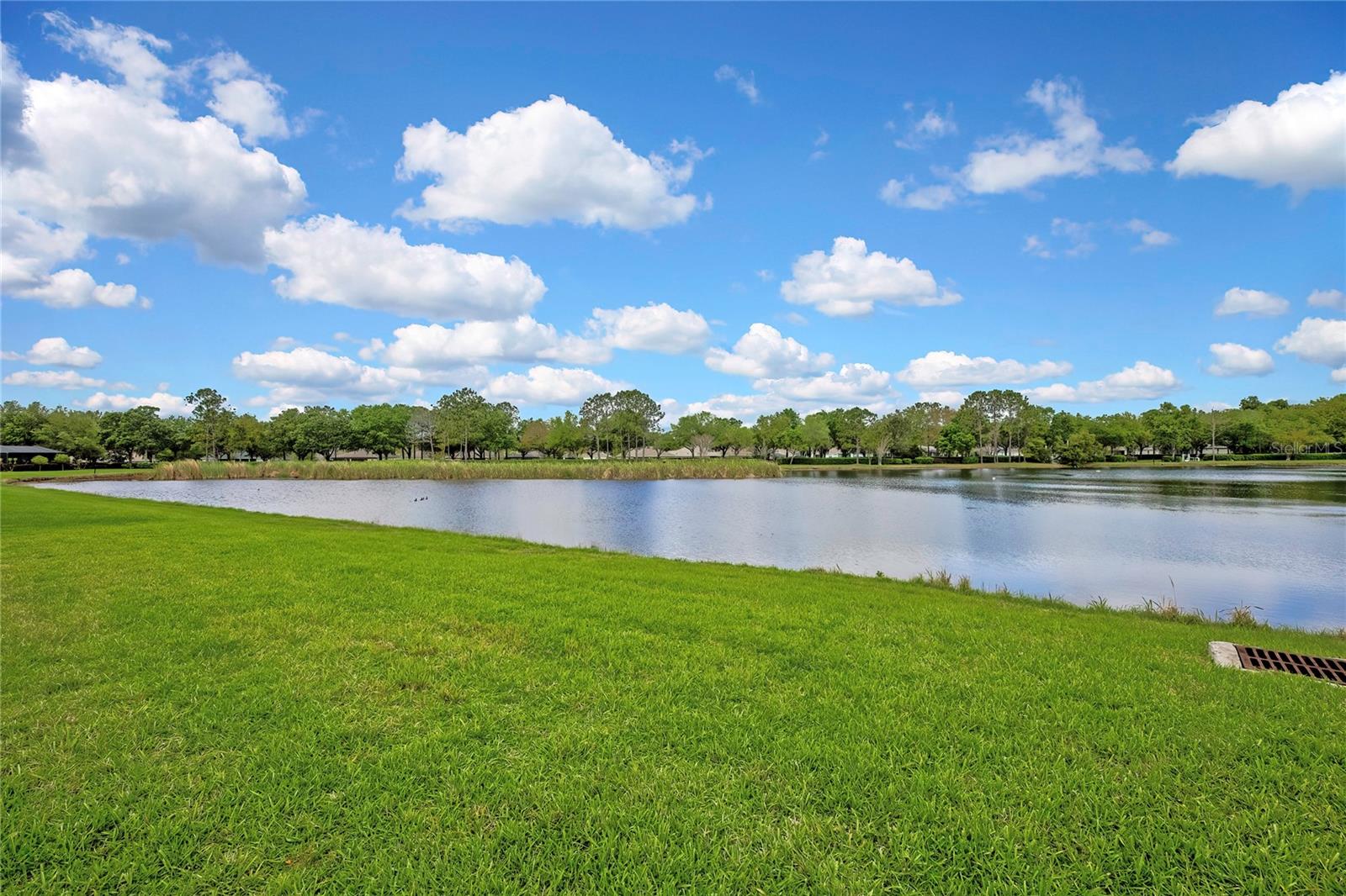 19863 TATTNALL WAY, BROOKSVILLE, FL, 34601