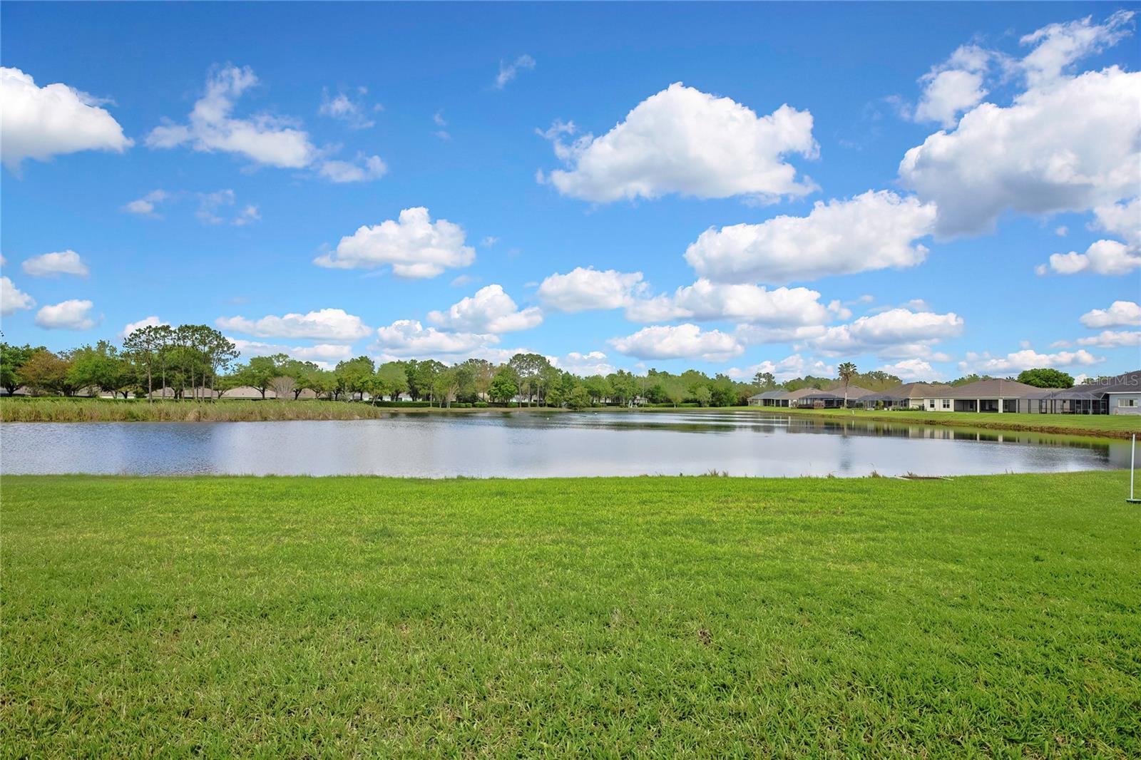 19863 TATTNALL WAY, BROOKSVILLE, FL, 34601