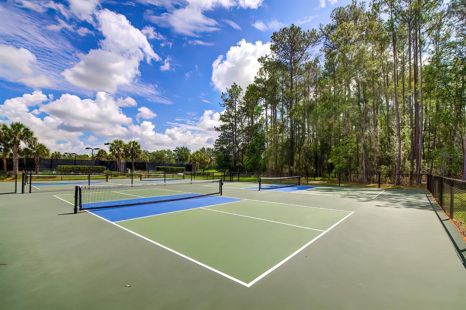 19863 TATTNALL WAY, BROOKSVILLE, FL, 34601