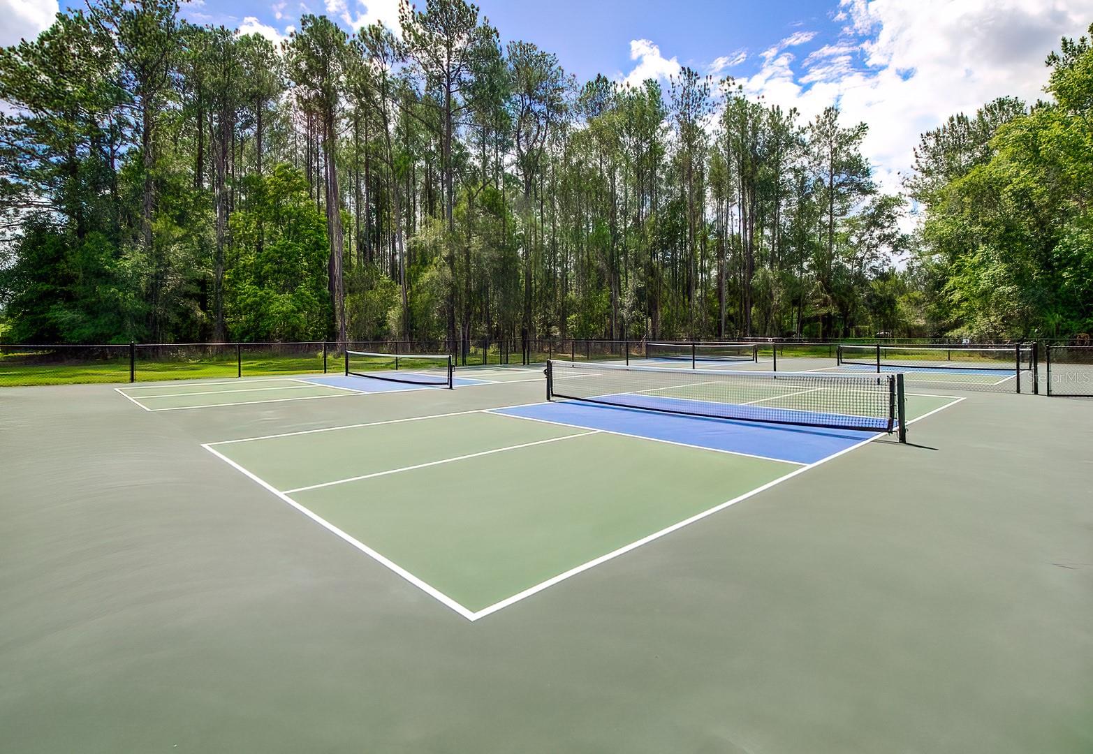 19863 TATTNALL WAY, BROOKSVILLE, FL, 34601