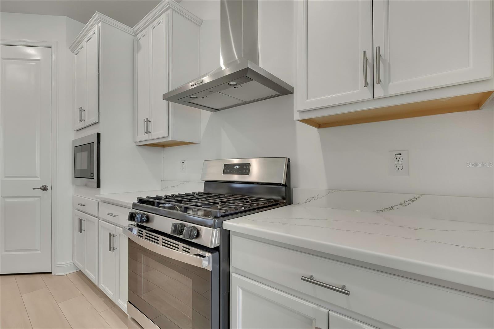 19863 TATTNALL WAY, BROOKSVILLE, FL, 34601