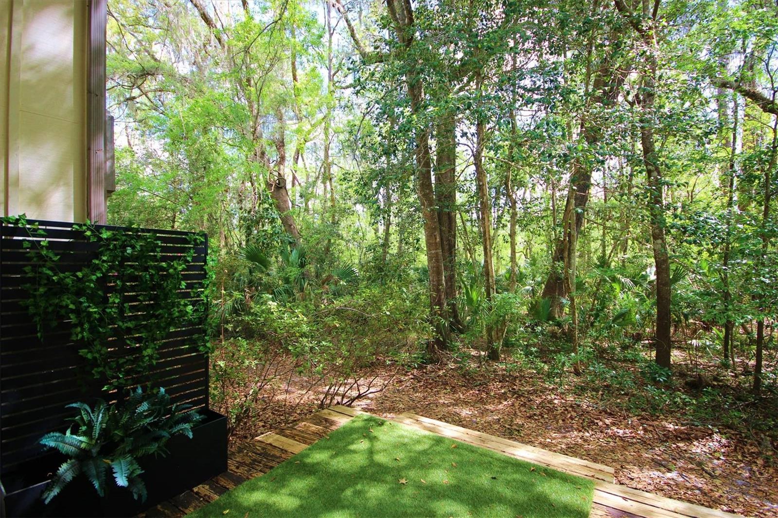 315 SW 54TH DR, GAINESVILLE, FL, 32607