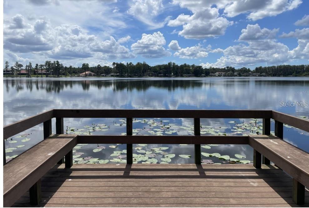 5205 CORVETTE DR, TAMPA, FL, 33624