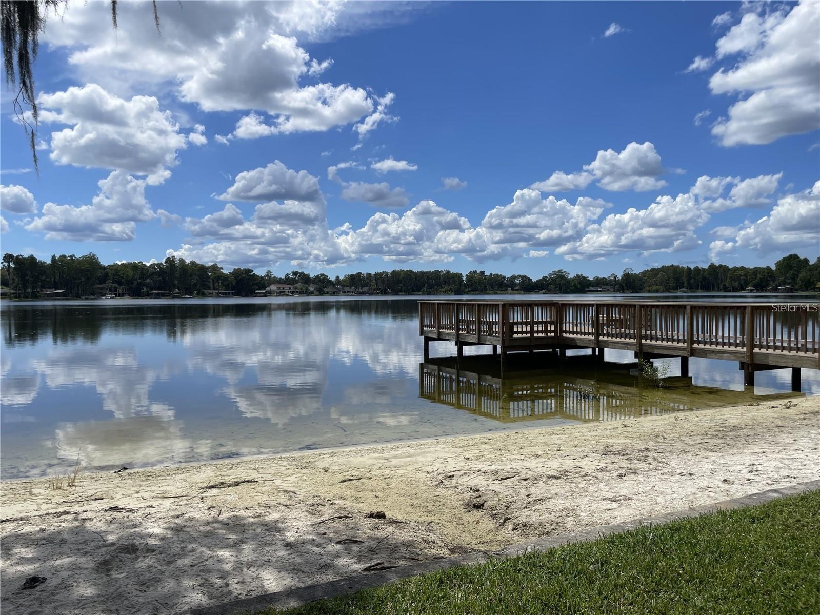 5205 CORVETTE DR, TAMPA, FL, 33624
