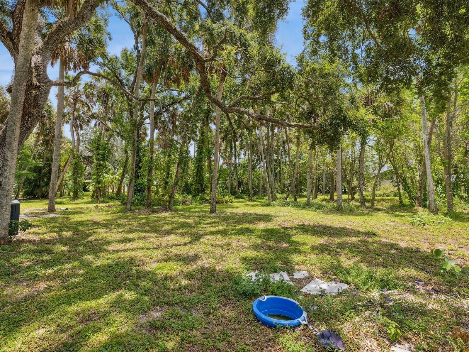 6440 RICHARDSON RD, SARASOTA, FL, 34240