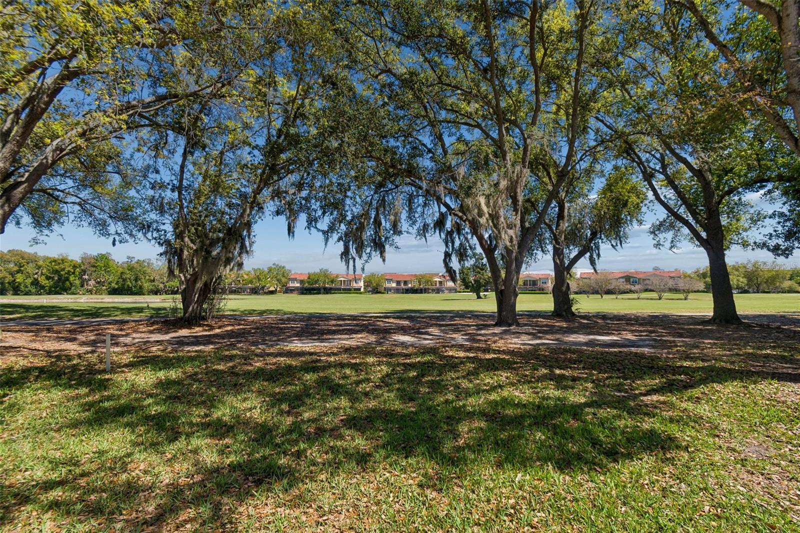 4207 ARBORWOOD LN, TAMPA, FL, 33618