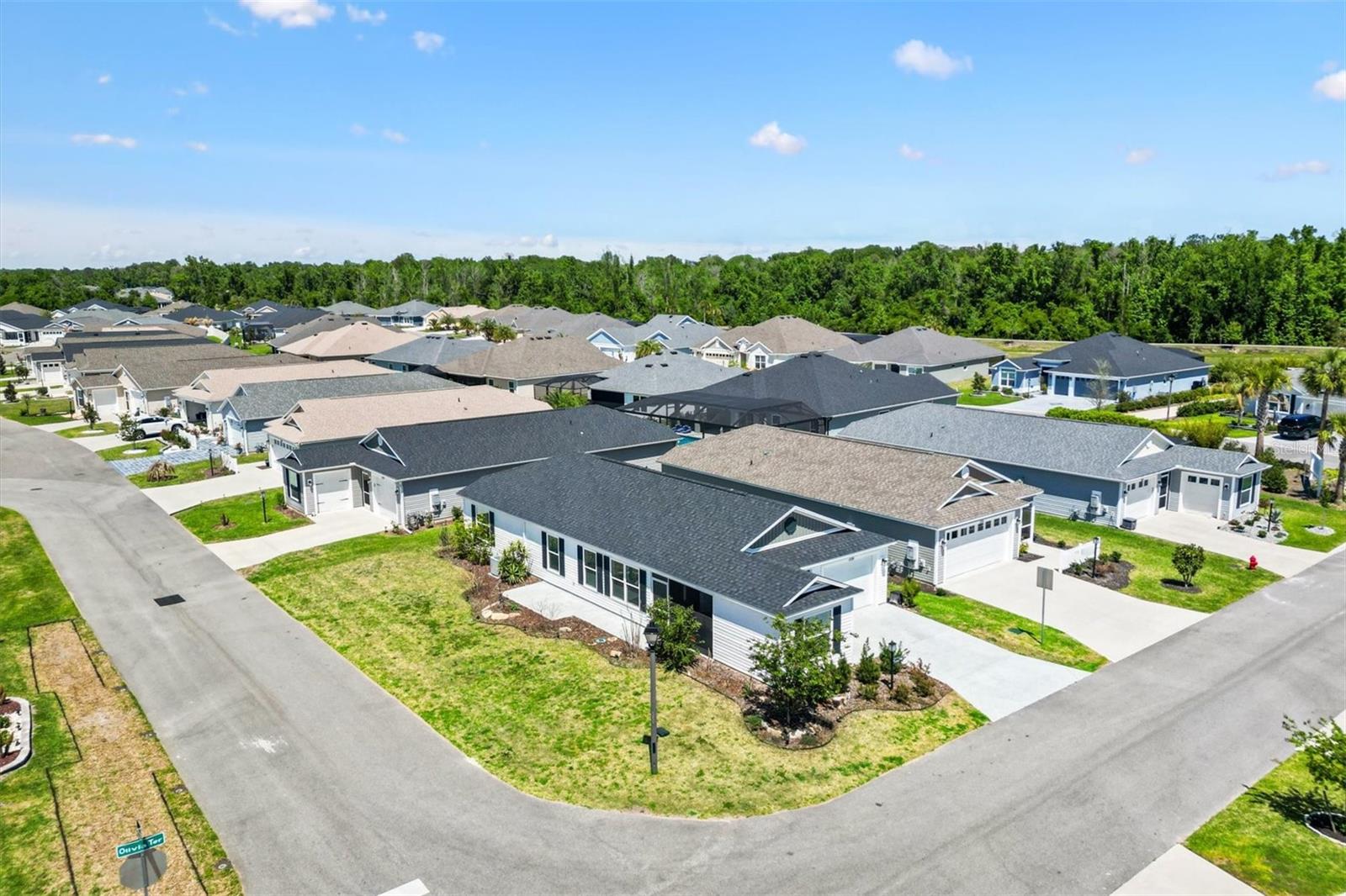 1599 OLIVIA TER, THE VILLAGES, FL, 34762