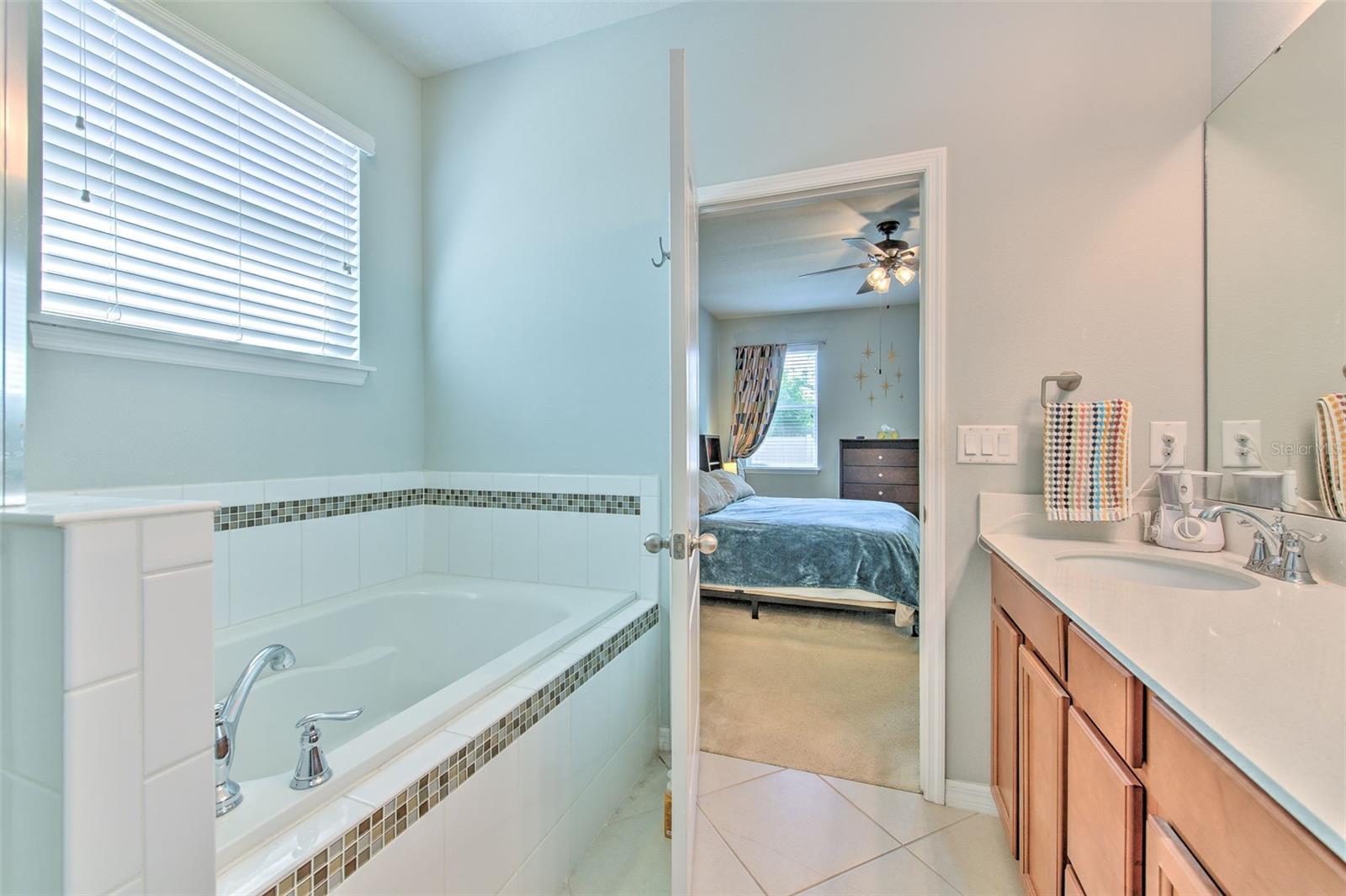 11130 SPRING POINT CIR, RIVERVIEW, FL, 33579
