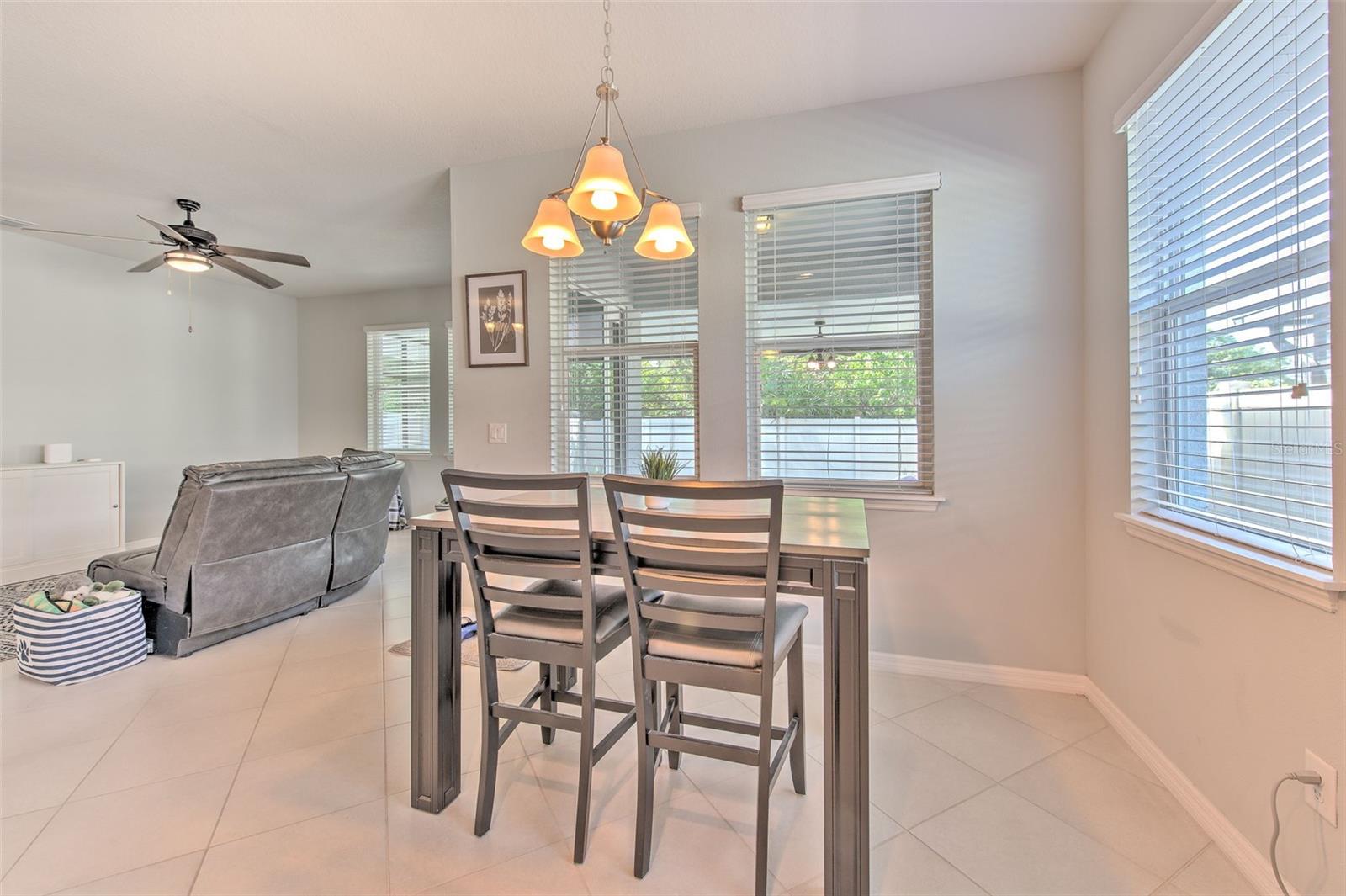 11130 SPRING POINT CIR, RIVERVIEW, FL, 33579