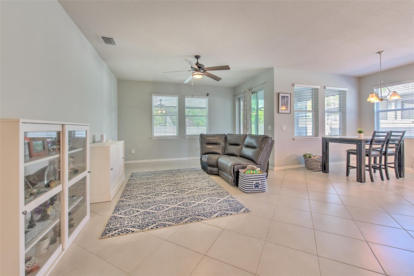 11130 SPRING POINT CIR, RIVERVIEW, FL, 33579