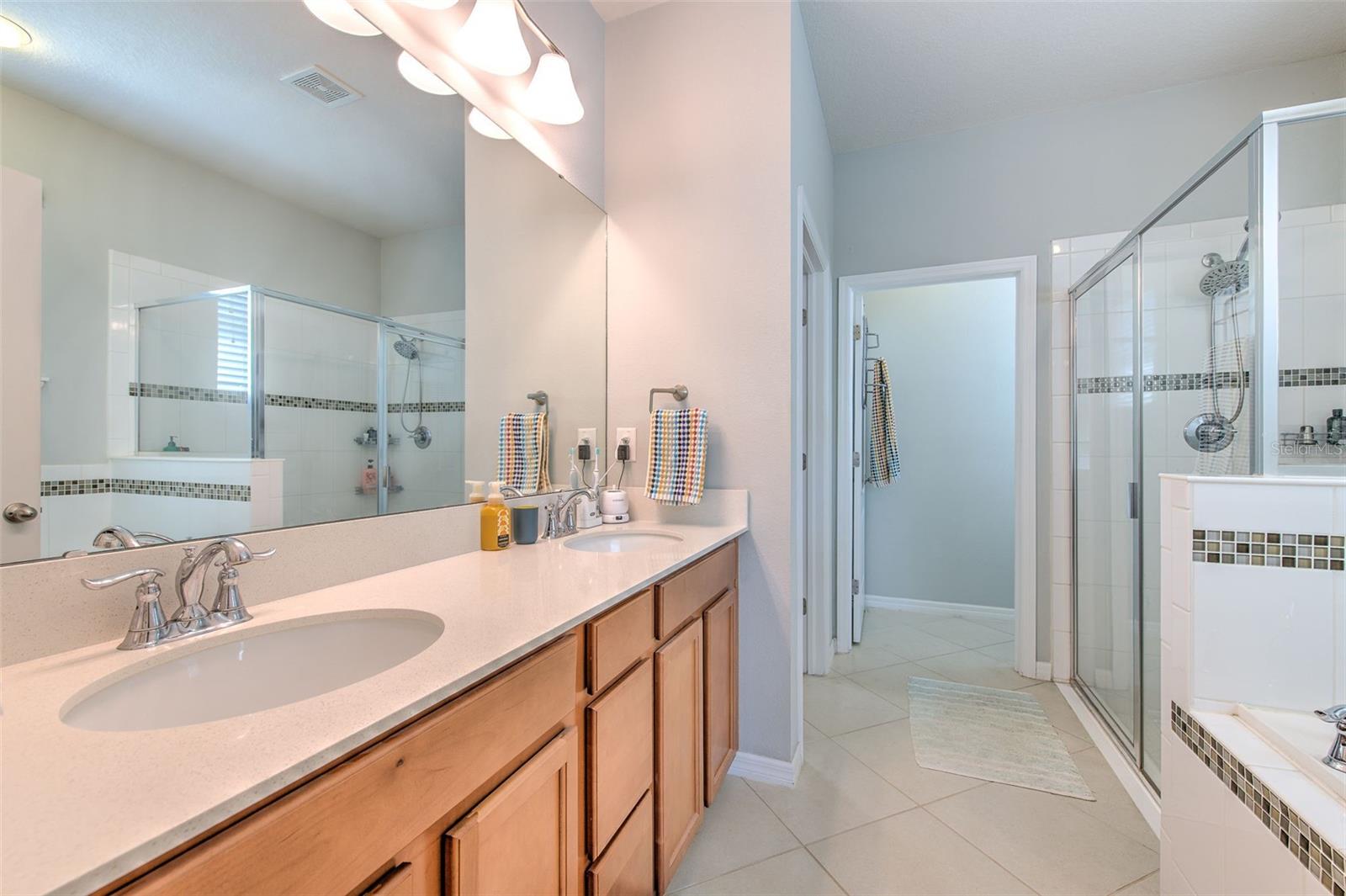 11130 SPRING POINT CIR, RIVERVIEW, FL, 33579