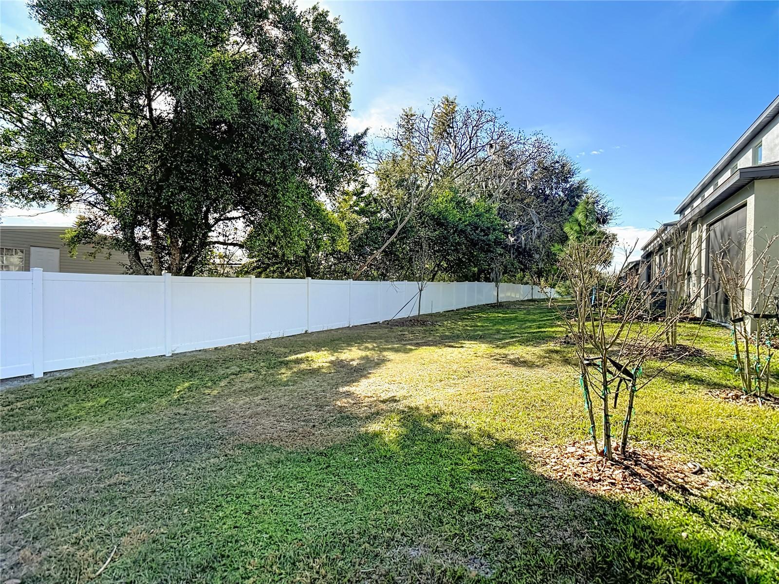 6170 SHINER ST, LAND O LAKES, FL, 34638