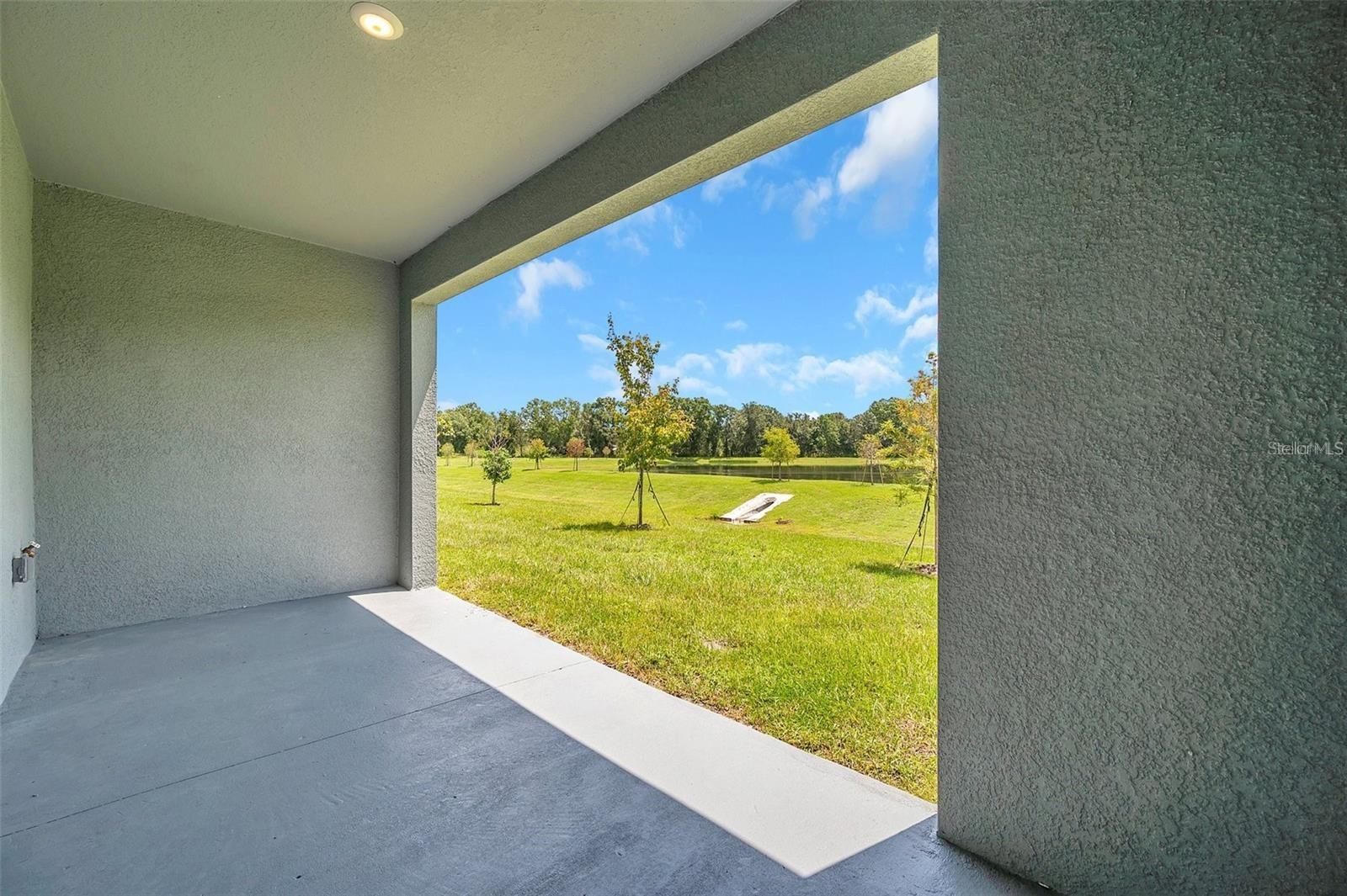 1347 COLT CREEK PL, WESLEY CHAPEL, FL, 33543