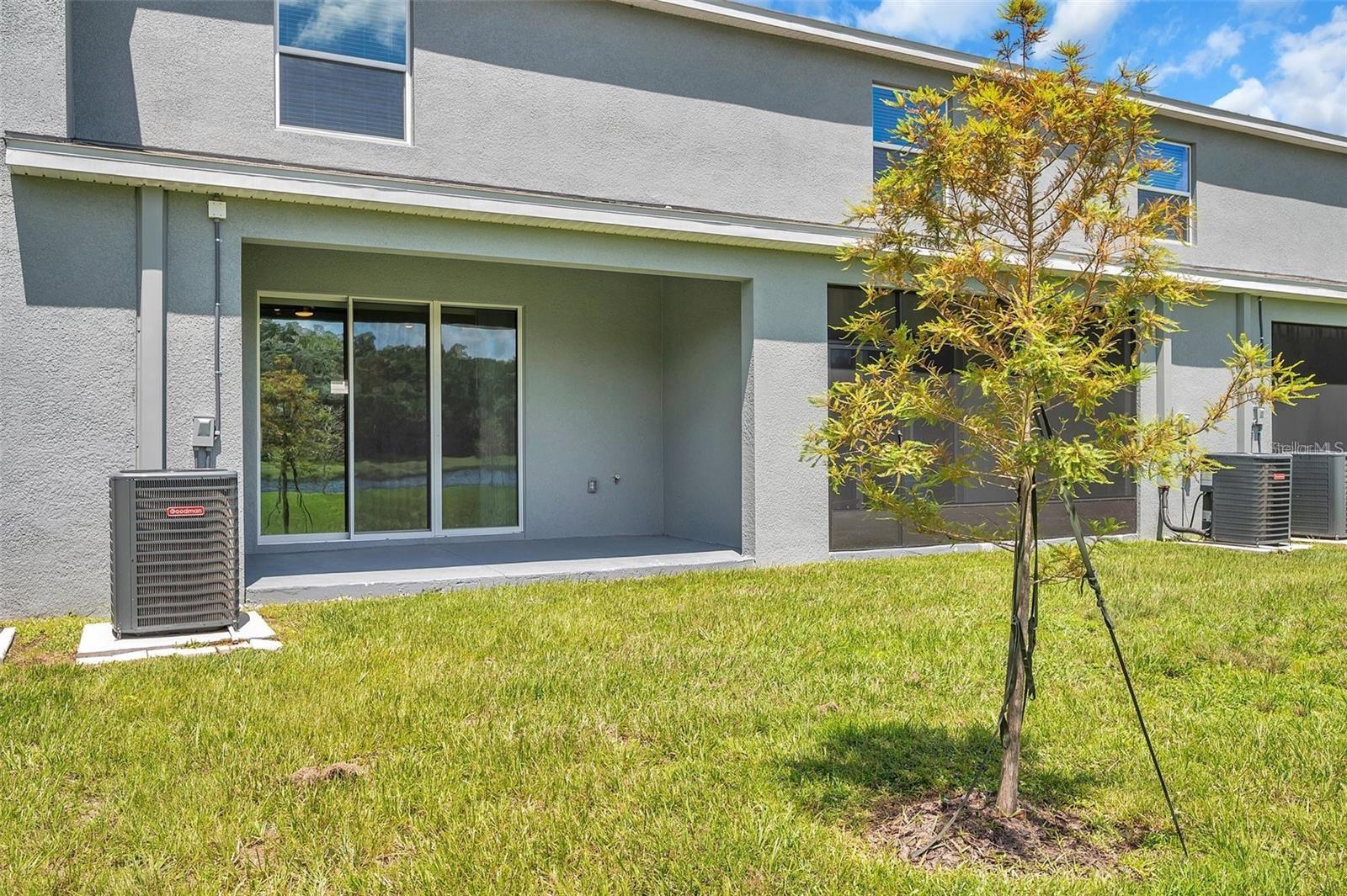 1347 COLT CREEK PL, WESLEY CHAPEL, FL, 33543