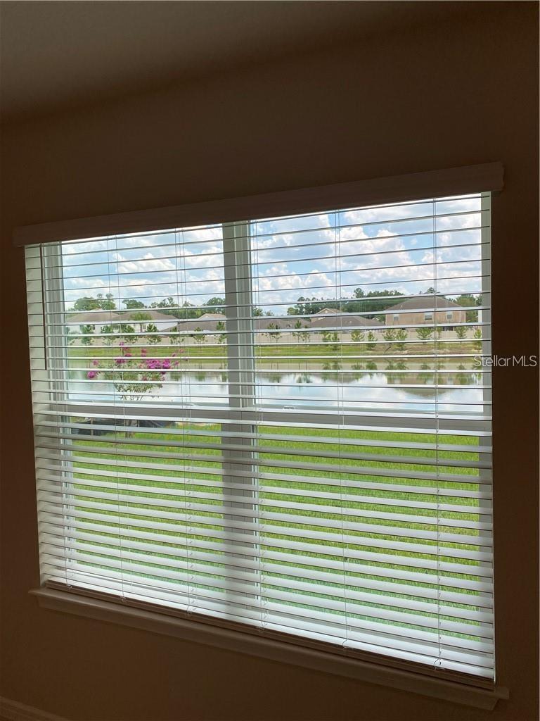6348 DUTTON DR, WESLEY CHAPEL, FL, 33545