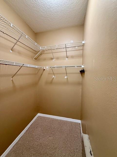 2947 POINTEVIEW DR, TAMPA, FL, 33611
