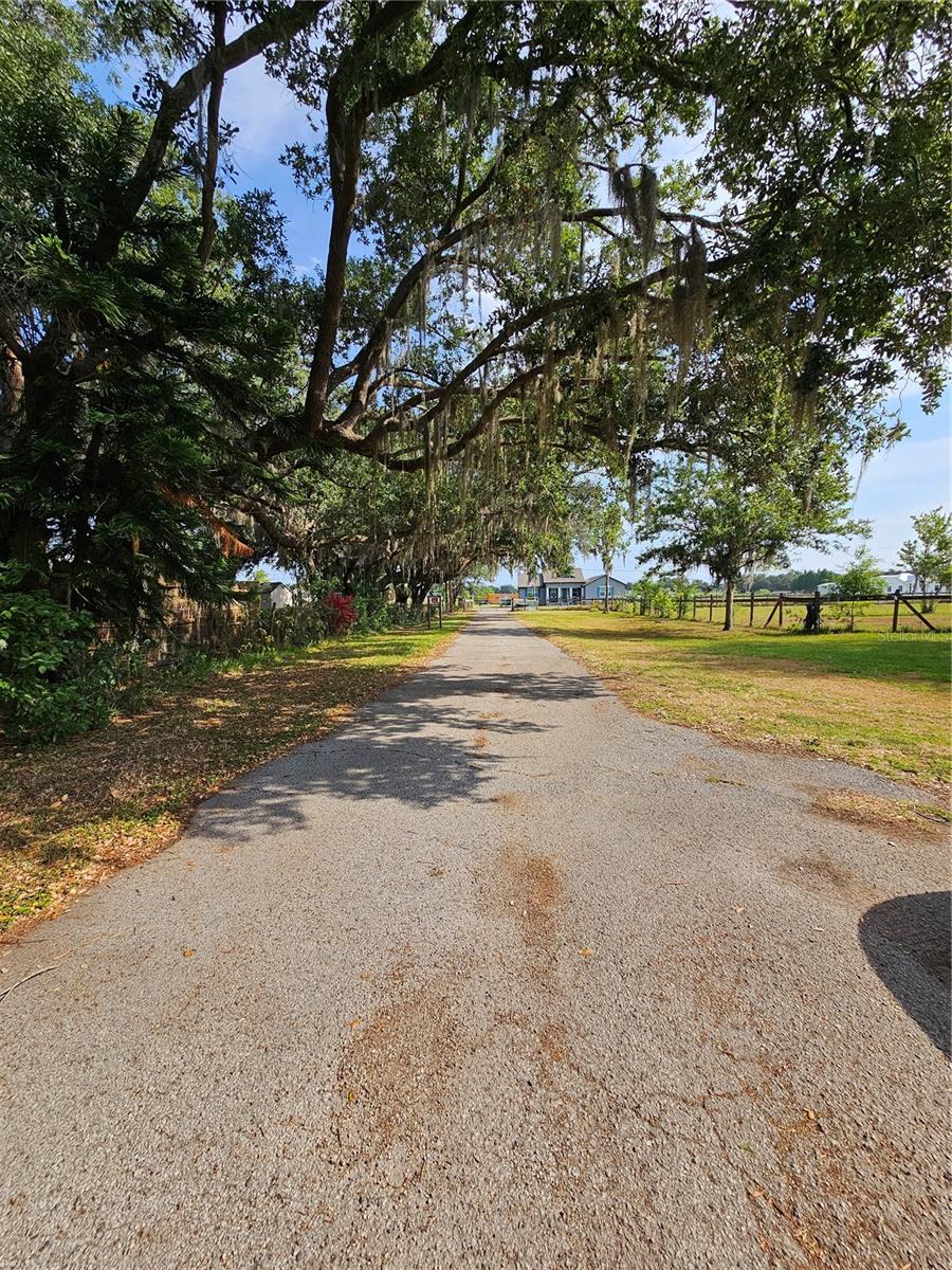 4609 MILEY RD, PLANT CITY, FL, 33565